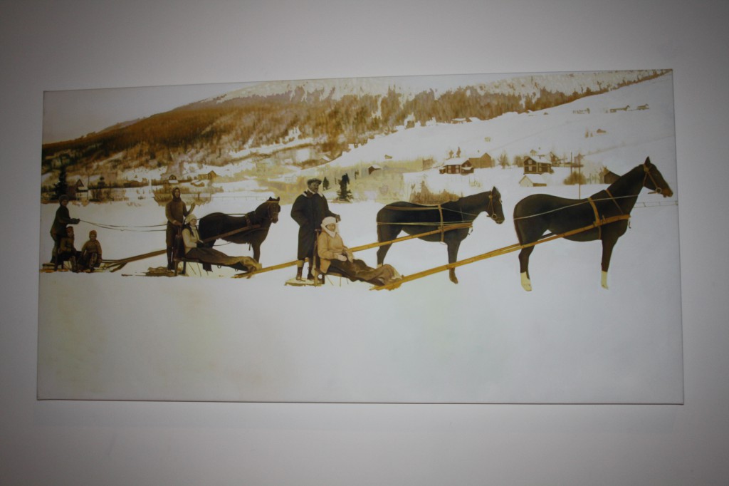 Åre gammalt fotografi häst